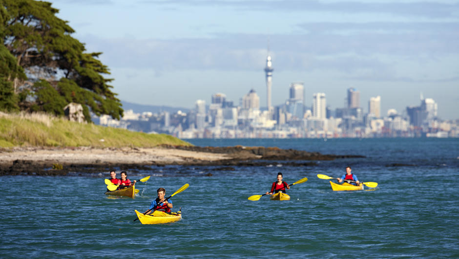 Kayak Auckland City