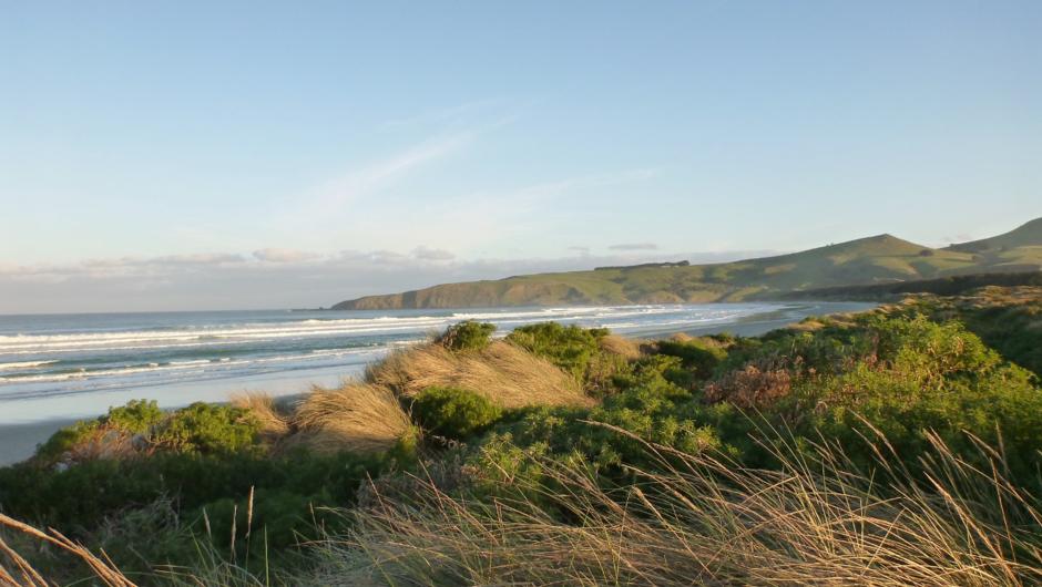 The stunning beauty of the Otago Peninsula