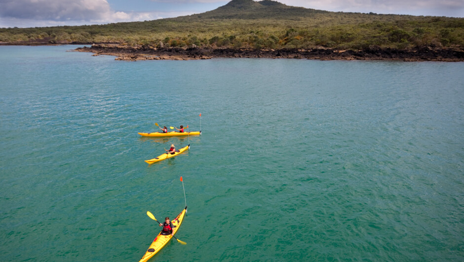 Day tour to Rangitoto