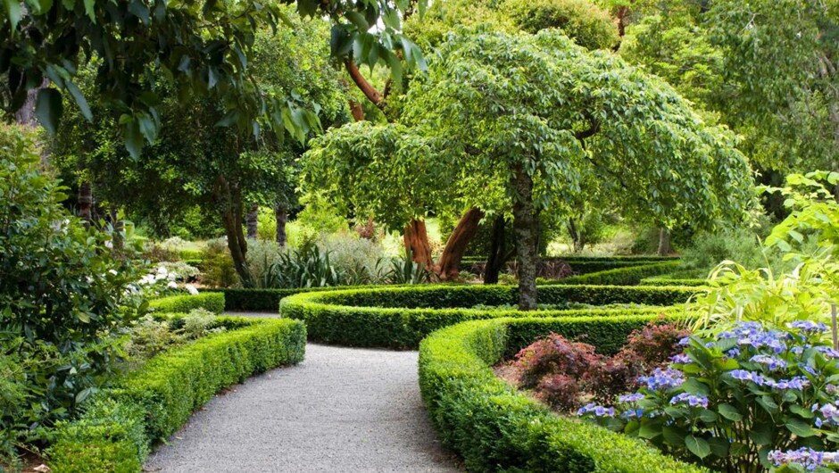 The Dutch Garden at Otahuna Lodge was planted in 1902 and restored in 2007. Buxus hedges contain colourful shrubs, flowers and mature exotic trees.