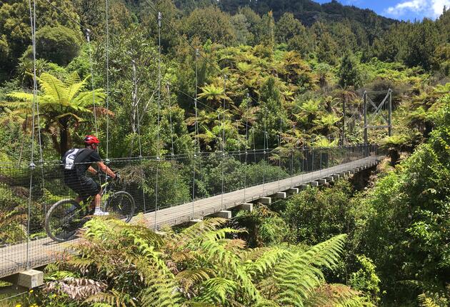 Discover suspension bridges, ancient forests and a historic tramway on this 4-day itinerary on the Timber Trail.