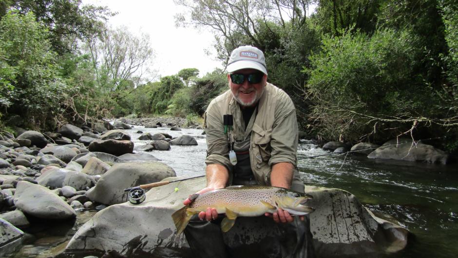 Pocket water Taranaki brown trout