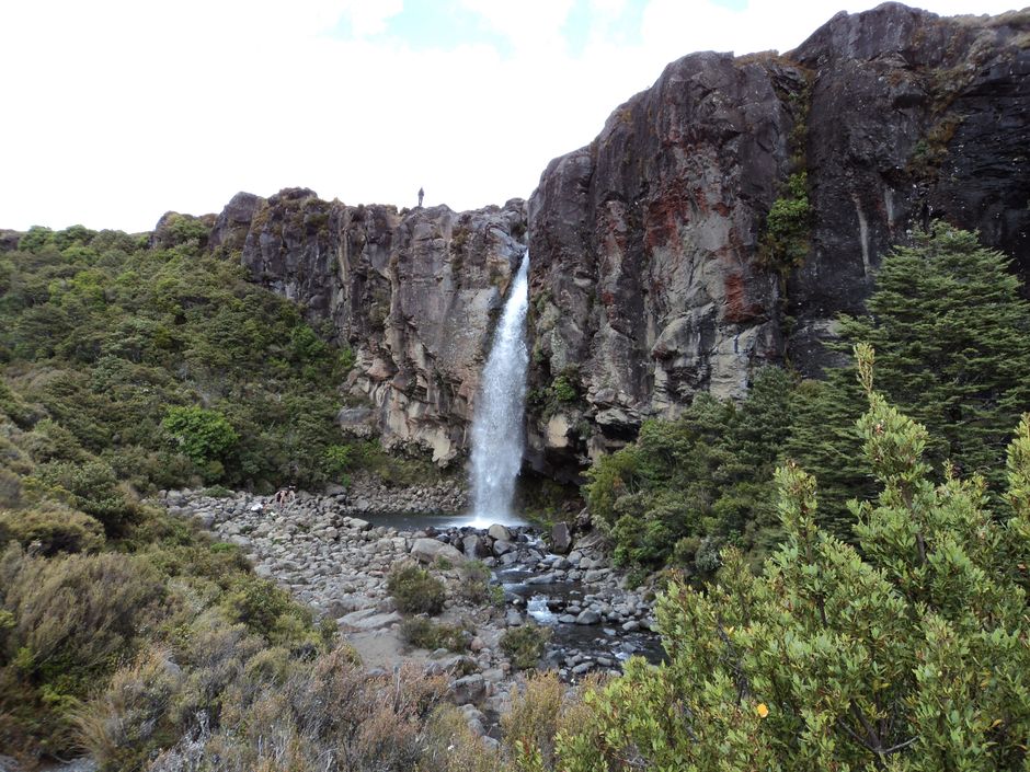 Taranaki Falls - 2 hr family loop track walk
