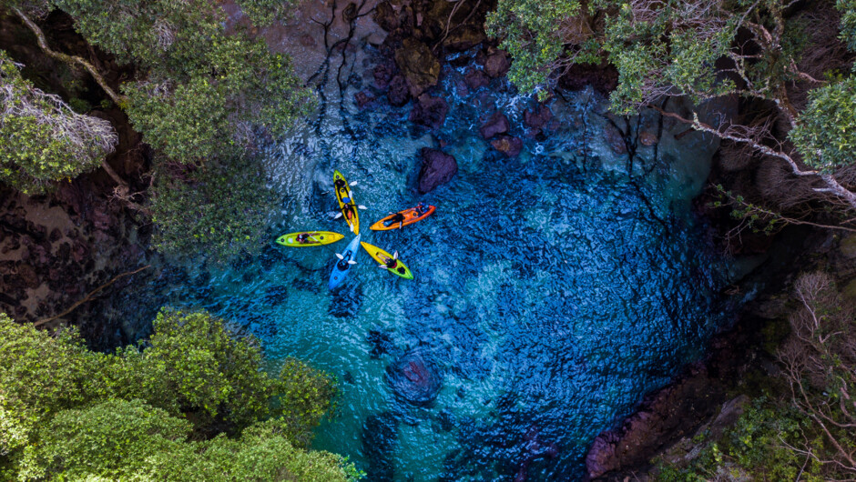 View from above. Whenuakura Island.