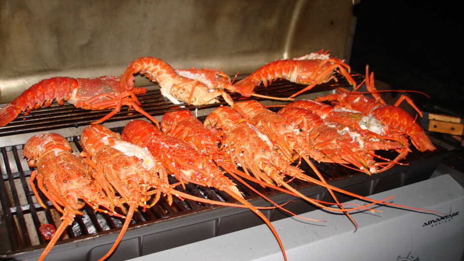 Local 'lobster' or crays as we call them in New Zealand!