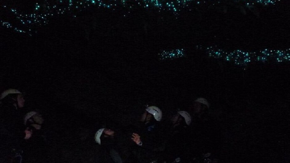 Glowworms in the Lost World