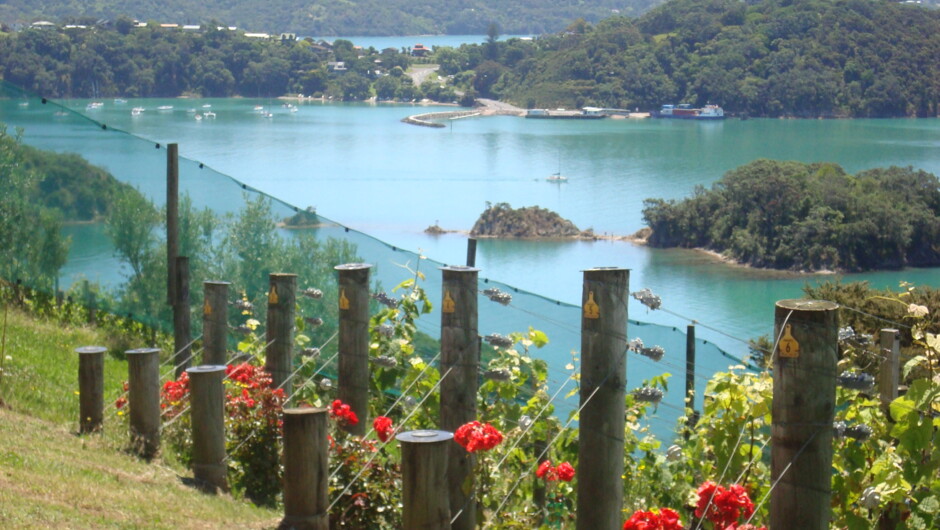 Views from Waiheke Island