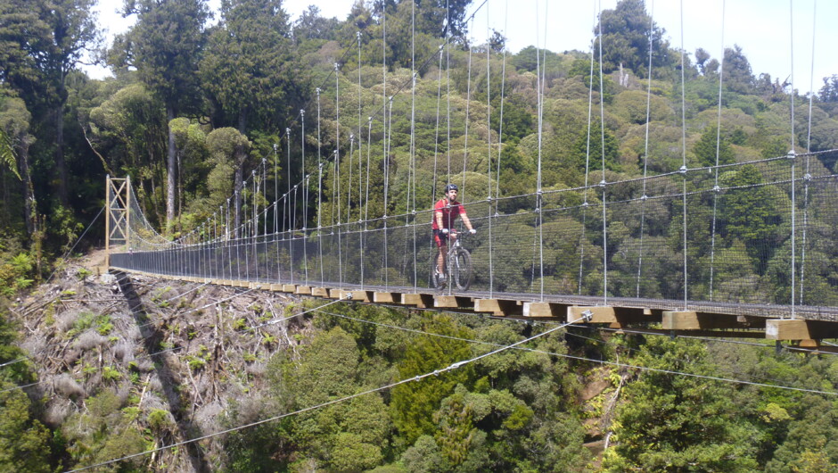 Riding the massive Timber Trail bridges