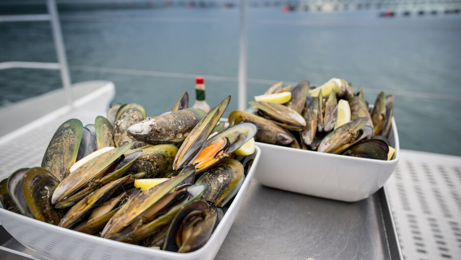 Sample freshly steamed Greenshell mussels, right at the source