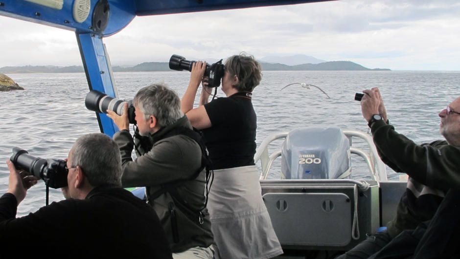 Clients aboard Aihe on our pelagic birding trip.