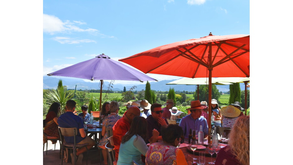Gorgeous views from our busy terrace on a typically beautiful Marlborough day!