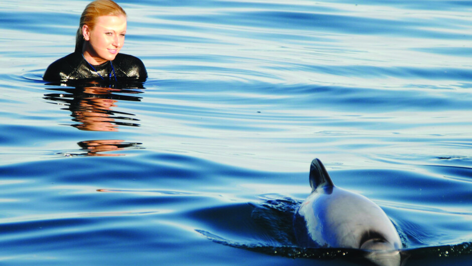 Listed as one of the top 10 marine mammal experiences in the world by Lonely Planet