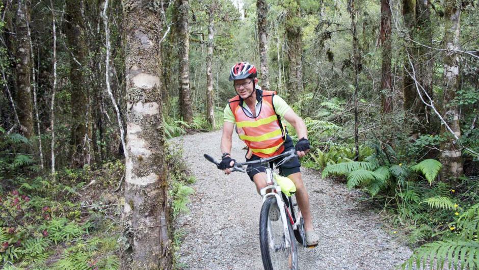 Cycling through virgin rainforest on the West Coast Wilderness Trail