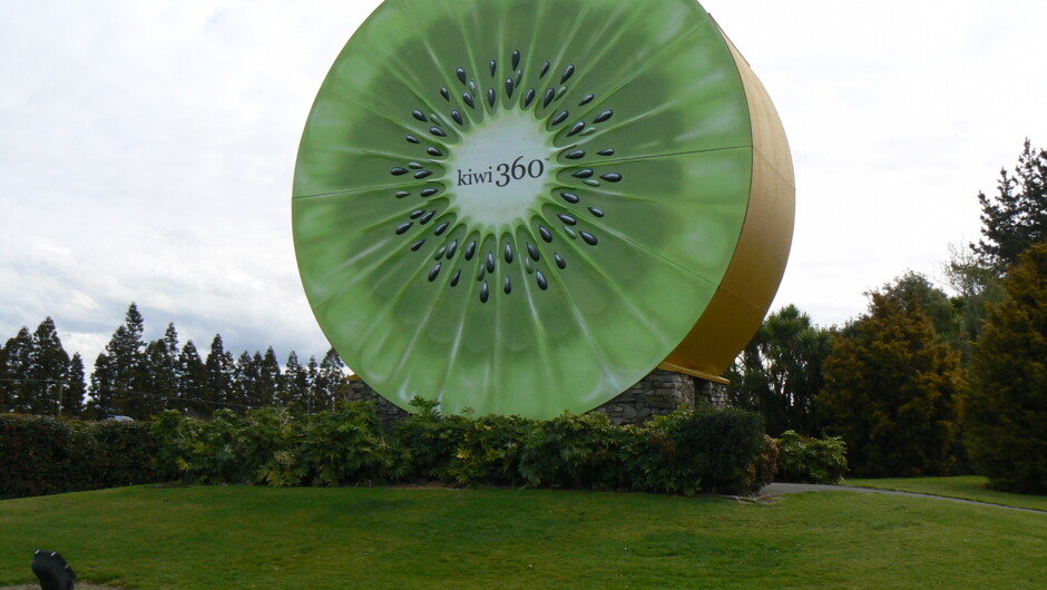 Kiwifruit - Kiwi 360