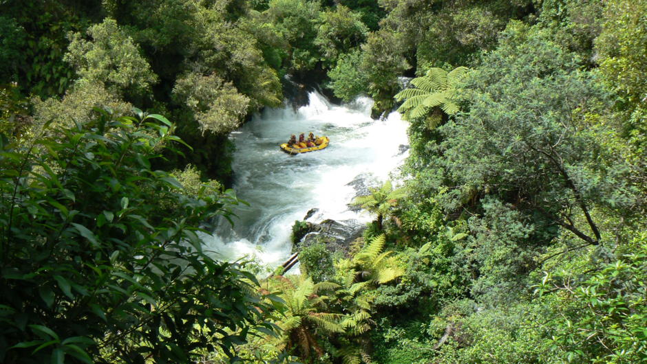 Rotorua - Kaituna Rapids