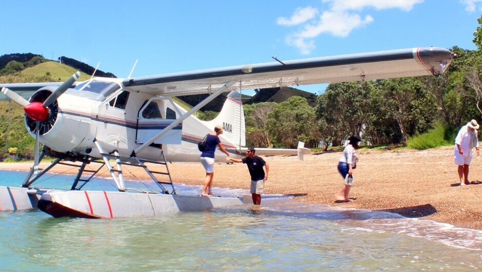 Auckland Sea Planes - scenic flights are a popular inclusion in our customers' tours!