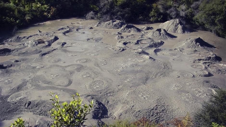 Mud pools at Te Puia