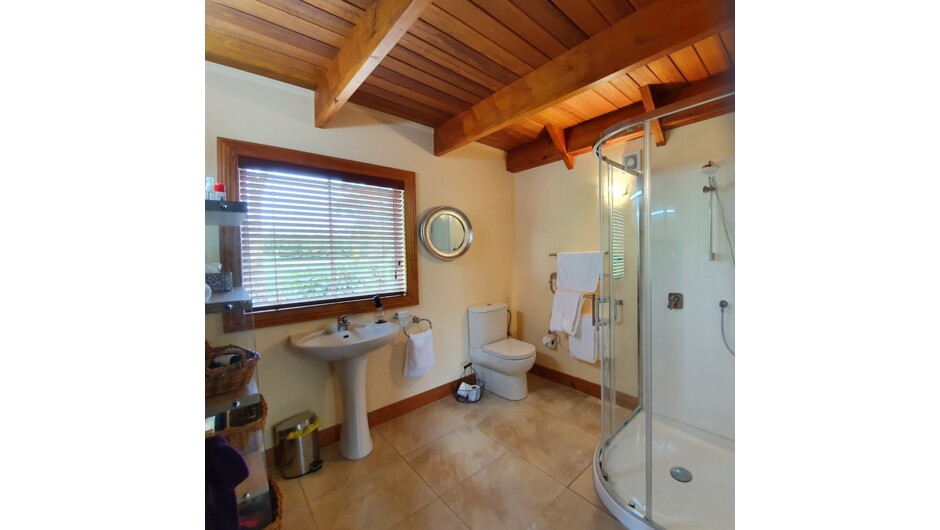 Downstairs bathroom - Kamahi Cottage
