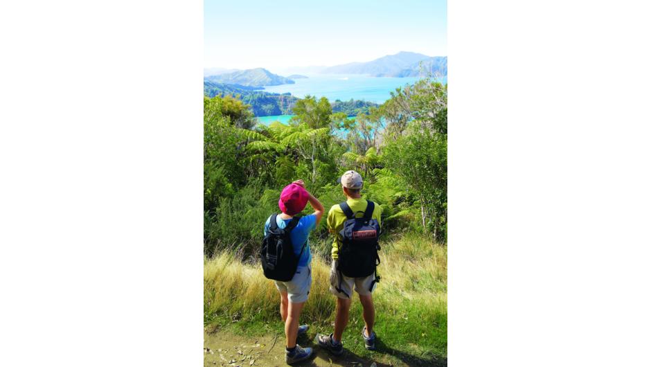 Spectacular views on the Queen Charlotte Track