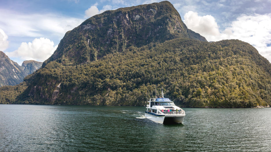 Doubtful Sound Wilderness Cruises - Real Journeys