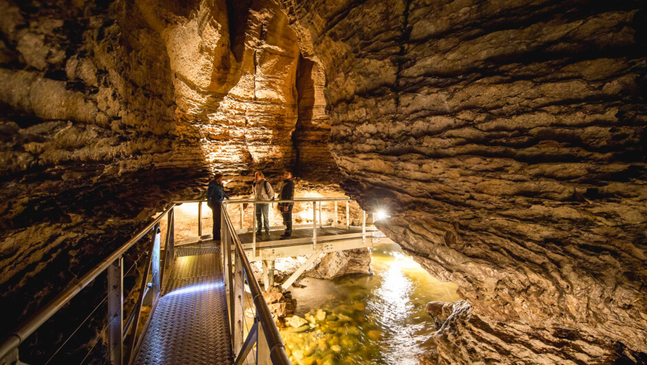 Te Anau Glowworm Caves - Real Journeys