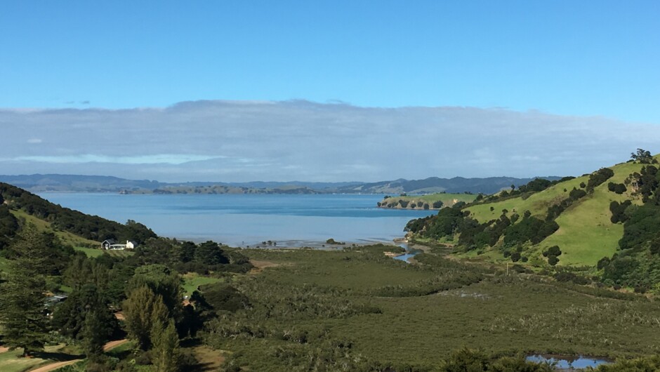 Waiheke Vineyards & Bush Walk