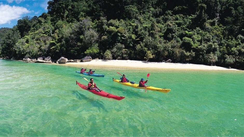 Sea Kayak with Wilsons Abel Tasman