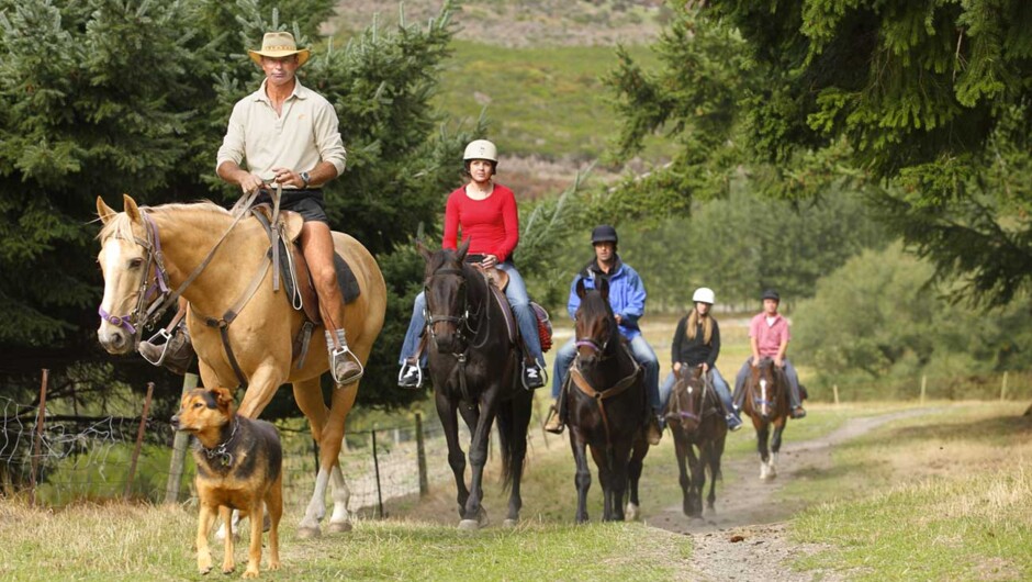 Walter Peak Horse Treks - Real Journeys