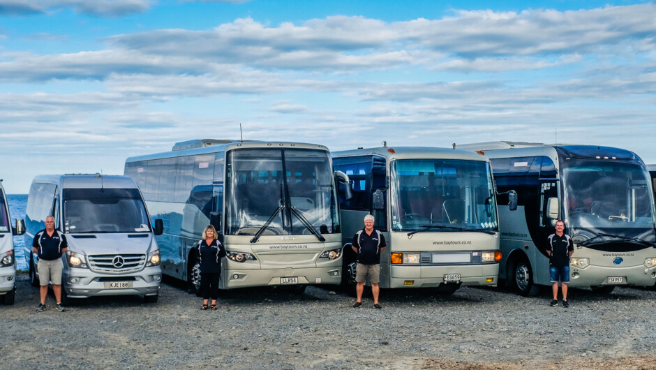 Bay Tours and Charters Fleet awaiting passengers for a local charter service in Hawke's Bay. Fleet size pictured is 45 pax, 40 pax, 32 pax, 26 pax, 2 x sprinters (16 pax)