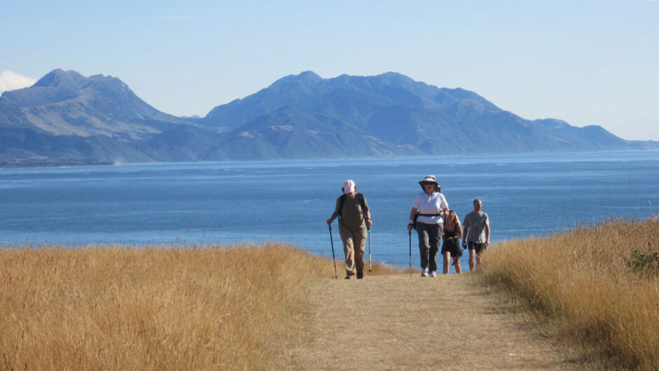 'Kiwi' group hiking near Kaikoura