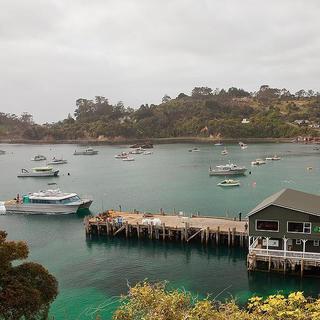 Ferry - Stewart Island Experience