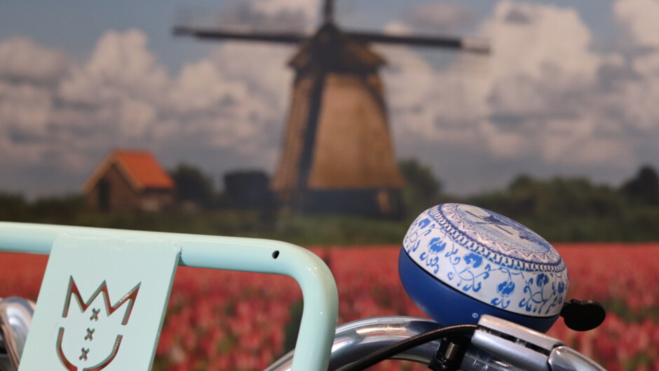 Doesn&#039;t get more Dutch than this... Bike, Delft Blue, and that landscape...