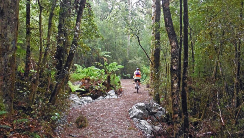 Cycling the West Coast Wilderness Trail with PureTrails NZ