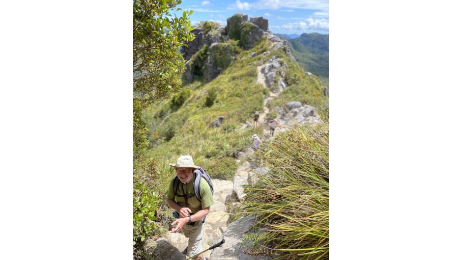 Days 1 -4: Hike the Pinnacles Track in the Kauaeranga Valley, Coromandel.