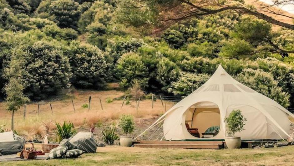20 Day North Island Nature Glamping