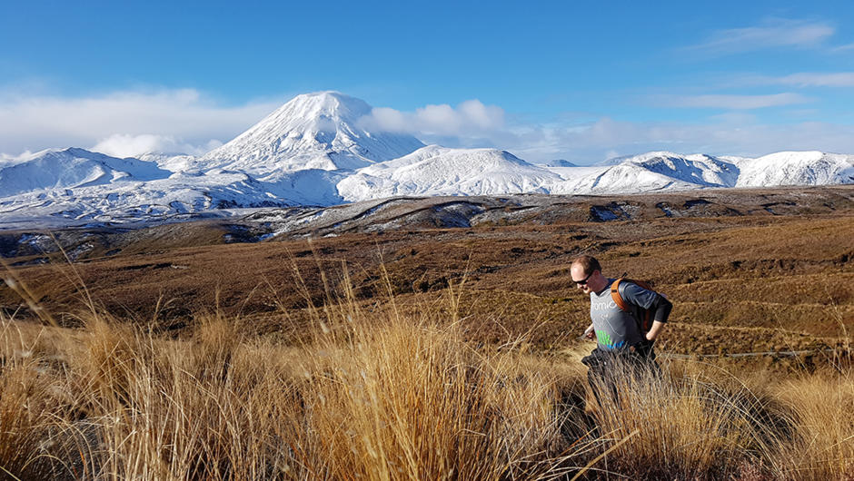 Half Day Volcanic Explorer Guided Walk with Adrift Tongariro