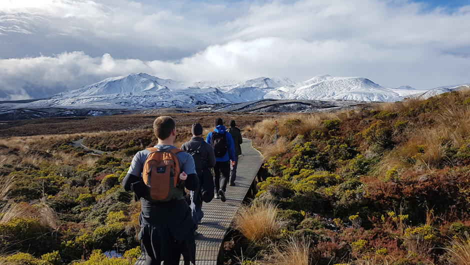 Half Day Volcanic Explorer Guided Walk