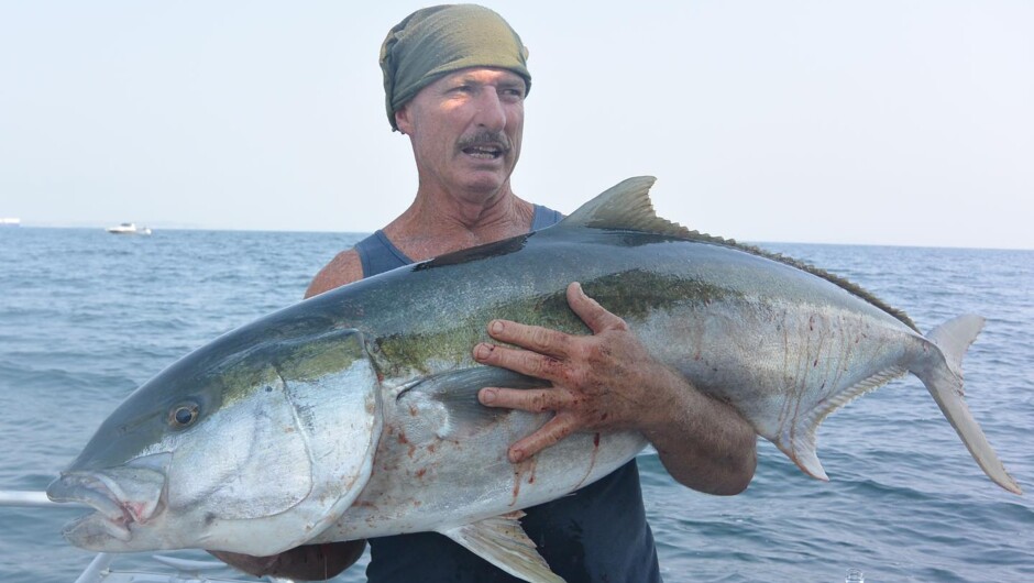 A massive kingfish caught off Waiheke Island