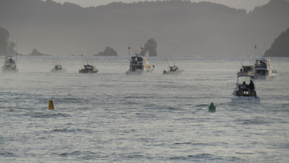 All Lined up waiting to start an annual Fishing competition at dawn at Anchorage Motel Mercury Bay Whitianga.