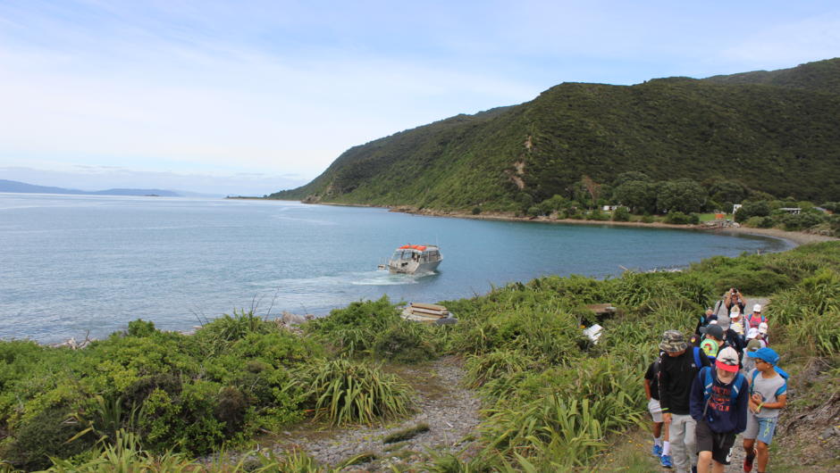 Kapiti Island a place like no other, remote yet accessible.  A day like no other adventure is out there, come and get it