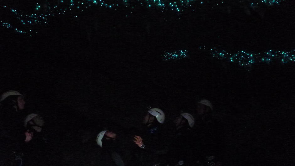 Unbelievable Glowworms