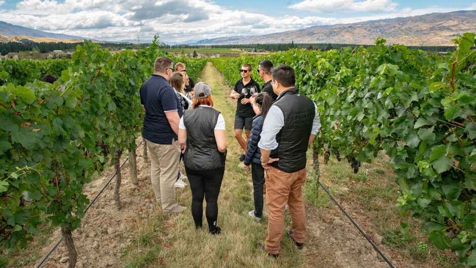 Learning all things Central Otago & Cloudy Bay