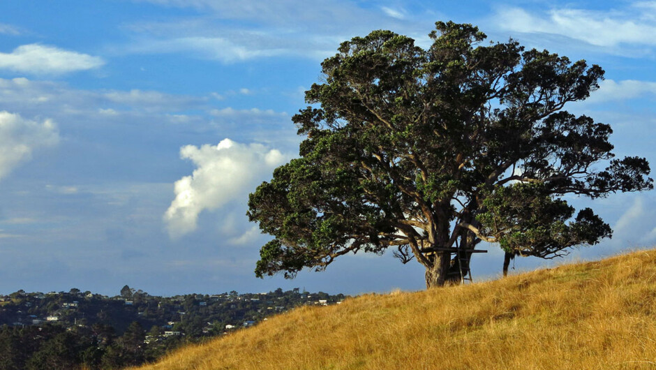 Waiheke Island