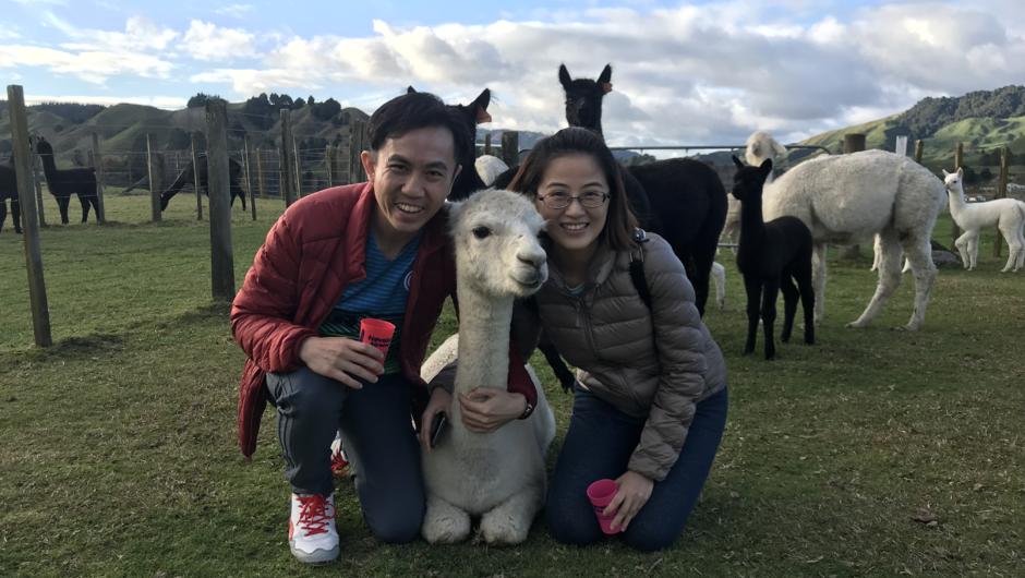 Join us for your Ultimate Alpaca Experience