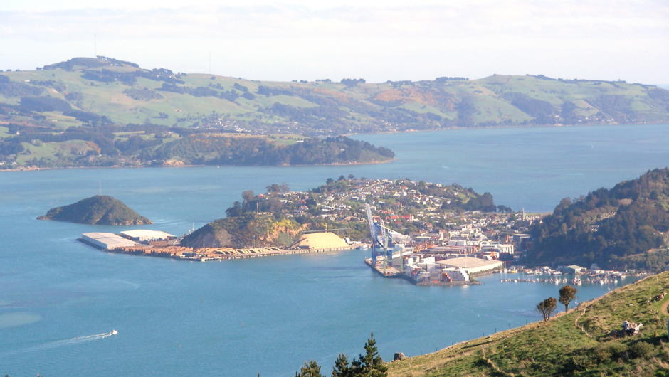 Port Chalmers from above