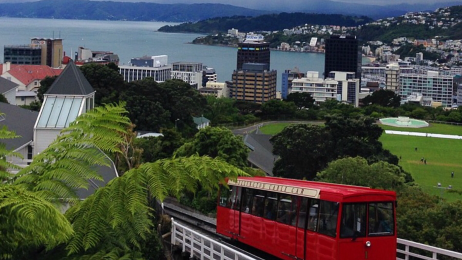 Great Views - Wellington