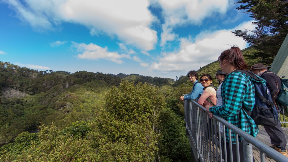 Tour group in the upper valley at ZEALANDIA
