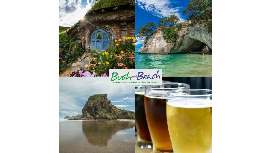 Bush and Beach day tours