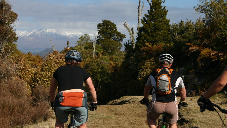 Mountain Biking with snowy mountains in background