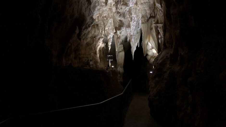 Waitomo caves; Ruakuri limestone cave tour.